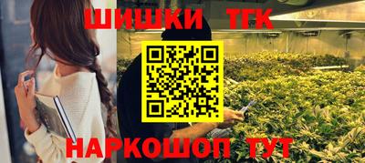спайс Гагарин