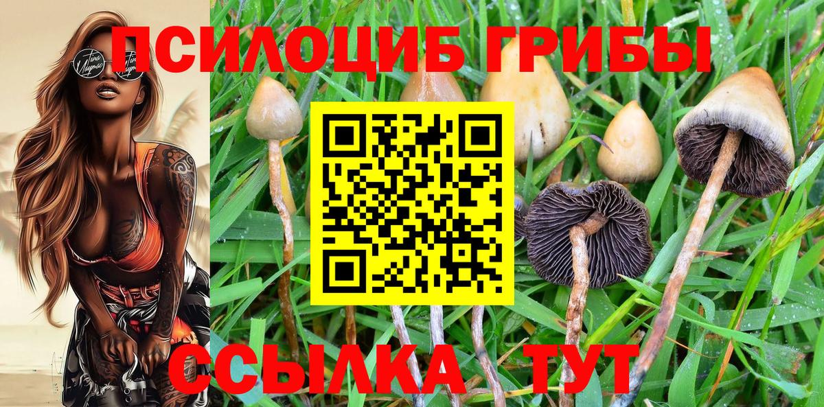 Псилоцибиновые грибы прущие грибы Нижневартовск